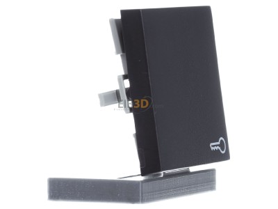 Ansicht links Gira 028728 Wippe Tr anth System55 