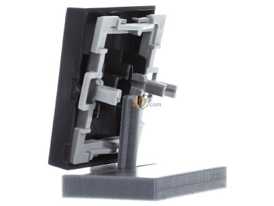 Ansicht rechts Gira 028728 Wippe Tr anth System55 