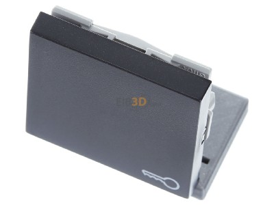 Ansicht oben vorne Gira 028728 Wippe Tr anth System55 
