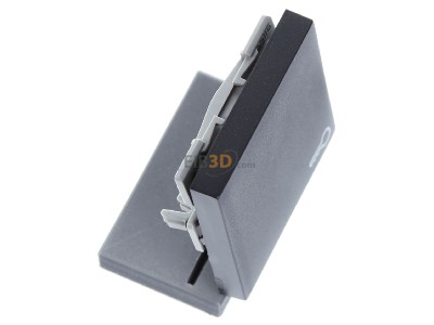 Ansicht oben links Gira 028728 Wippe Tr anth System55 