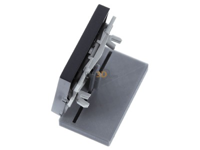 Ansicht oben rechts Gira 028728 Wippe Tr anth System55 