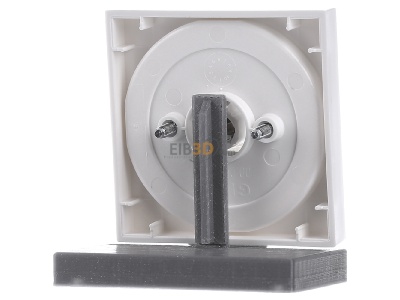 Ansicht hinten Gira 066627 Abdeckung m.Knebel rws Jalousie, System55 