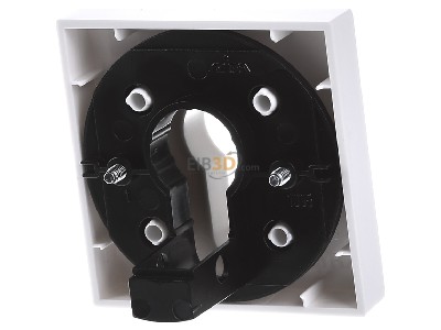 Ansicht hinten Gira 066427 Zentralpl. Schlssel. rws System55 