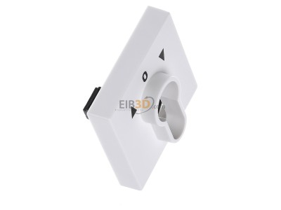 Ansicht oben links Gira 066427 Zentralpl. Schlssel. rws System55 
