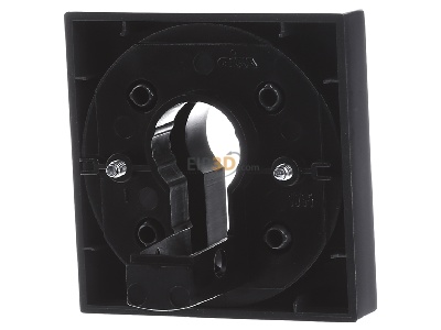 Ansicht hinten Gira 066428 Zentralpl. Schlssel. anth System55 