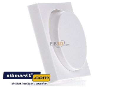 Ansicht links Gira 065027 Dimmer-Abdeckung rws System55 