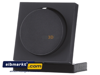Frontansicht Gira 065028 Dimmer-Abdeckung anth System55 