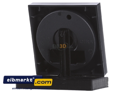 Ansicht hinten Gira 065028 Dimmer-Abdeckung anth System55 