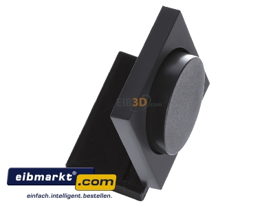 Ansicht oben links Gira 065028 Dimmer-Abdeckung anth System55 