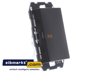Ansicht links Gira 026828 Blindabdeckung anth System55 