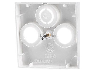 Ansicht hinten Gira 086927 Zentralplatte Antenne rws System55 