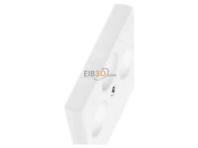 Ansicht oben links Gira 086927 Zentralplatte Antenne rws System55 