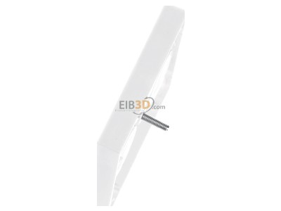 Ansicht oben rechts Gira 086927 Zentralplatte Antenne rws System55 