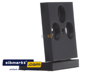 Ansicht links Gira 086928 Zentralplatte Antenne anth System55 