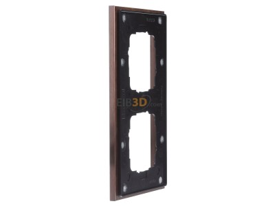 View on the right Gira 021238 Frame 2-gang bronze 
