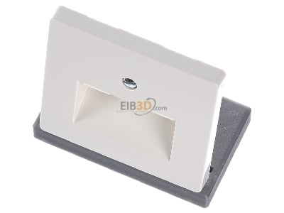 View up front Siemens 5TG2543 Central cover plate UAE/IAE (ISDN) 
