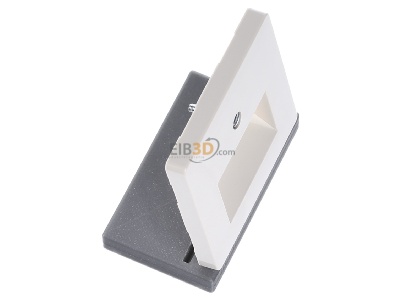 View top left Siemens 5TG2543 Central cover plate UAE/IAE (ISDN) 
