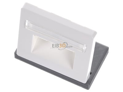 View up front Siemens 5TG2546 Central cover plate UAE/IAE (ISDN) 
