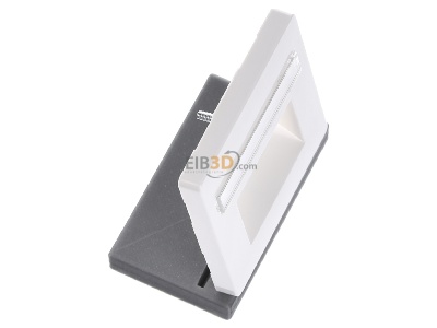 View top left Siemens 5TG2546 Central cover plate UAE/IAE (ISDN) 
