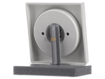 Back view Siemens 5TC8901 Cover plate for dimmer cream white 
