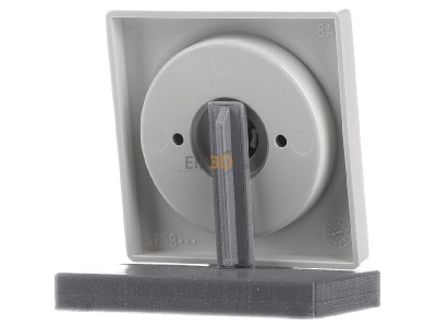 Ansicht hinten Siemens 5TC8901 Abdeckplatte F.Dimmer M.Drehknopf 