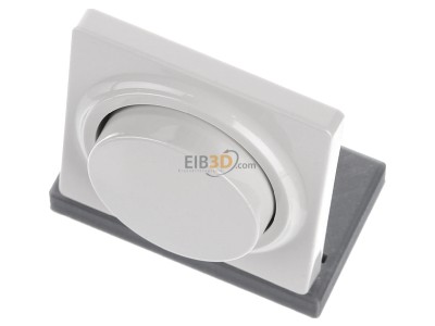 View up front Siemens 5TC8901 Cover plate for dimmer cream white 
