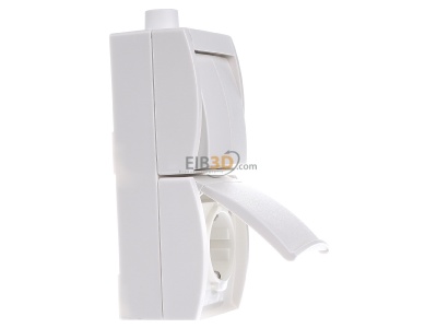 View on the left Busch Jaeger 2601/5/20EW-54-503 Combination switch/wall socket outlet 
