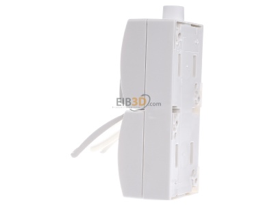 View on the right Busch Jaeger 2601/5/20EW-54-503 Combination switch/wall socket outlet 

