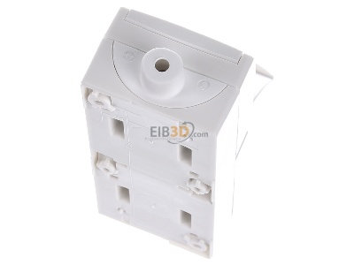 Top rear view Busch Jaeger 2601/5/20EW-54-503 Combination switch/wall socket outlet 
