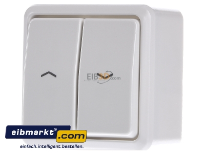 Frontansicht Jung 609 VA WW Jalousie-Wippschalter aws 10AX 250V Sch.1-pol. 