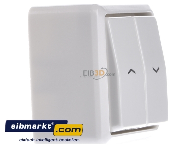 Ansicht links Jung 609 VA WW Jalousie-Wippschalter aws 10AX 250V Sch.1-pol. 