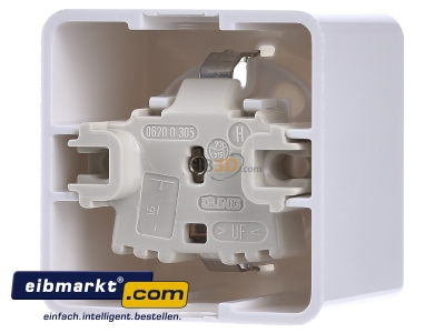 Back view Jung 620 A WW Socket outlet protective contact white
