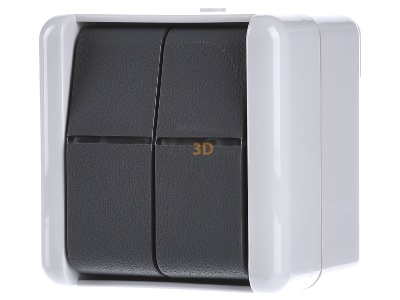 Frontansicht Jung 809 W Wippschalter 10AX 250V Doppel Wechsler 