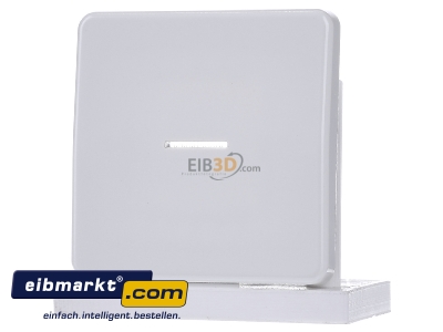 Frontansicht Jung CD 590 KO5 WW Wippe Lichtleiter aws f�r Taster 
