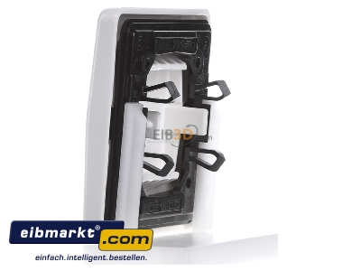Ansicht rechts Jung CD 590 NAKO5 WW Wippe Licht./Schriftf.aws f�r Taster 