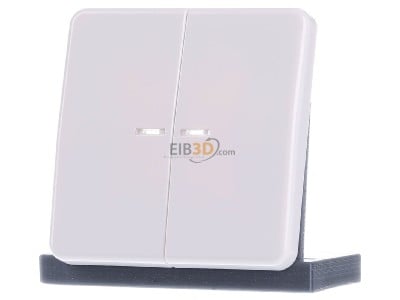 Frontansicht Jung CD 595 KO5 WW Wippe Lichtleiter aws f�r Taster 
