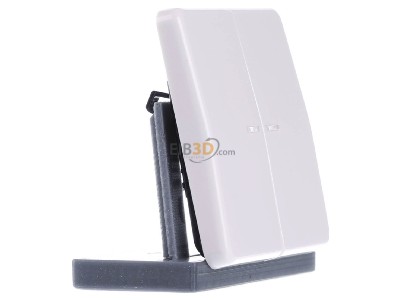 Ansicht links Jung CD 595 KO5 WW Wippe Lichtleiter aws f�r Taster 