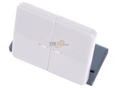 Ansicht oben vorne Jung CD 595 KO5 WW Wippe Lichtleiter aws f�r Taster 