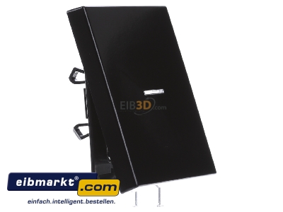 Ansicht links Jung LS 990 KO5 SW Wippe Lichtleiter ws f�r Taster 
