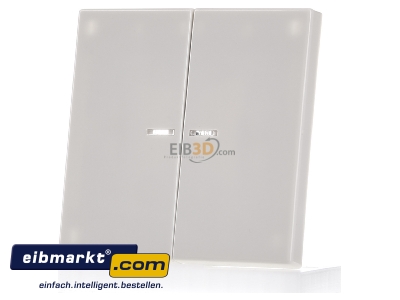Frontansicht Jung LS995KO5 Wippe Lichtleiter ws f�r Taster LS 995 KO5