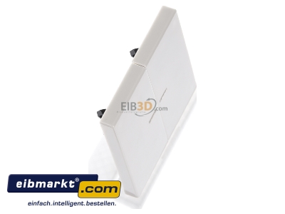 Ansicht oben links Jung LS995KO5 Wippe Lichtleiter ws f�r Taster LS 995 KO5