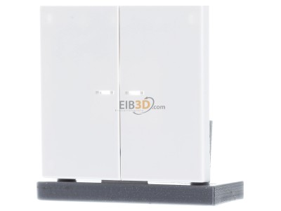Frontansicht Jung LS 995 KO5 WW Wippe Lichtleiter aws f�r Taster 