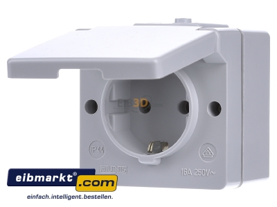 Frontansicht Jung 620 WX SCHUKO-Steckdose 16A 250V 