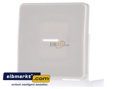 Frontansicht Jung CD 590 KO5 Wippe Lichtleiter ws f�r Taster 