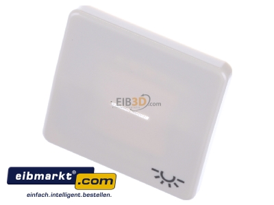 Ansicht oben vorne Jung CD 590 KO5L Wippe Sym.LICHT/Lichtl.ws f�r beleuchtb.Taster 