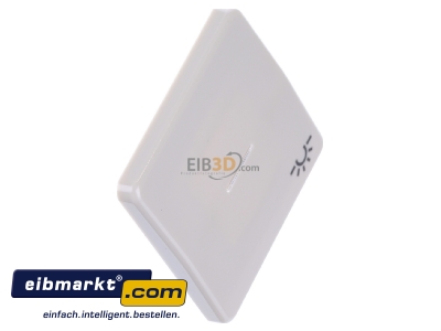 Ansicht oben links Jung CD 590 KO5L Wippe Sym.LICHT/Lichtl.ws f�r beleuchtb.Taster 