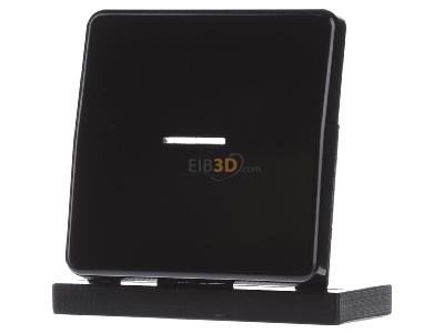Frontansicht Jung CD 590 KO5 SW Wippe Lichtleiter sw f�r Taster 