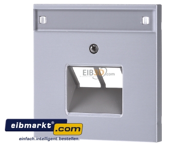 Front view Jung AL 2969-2 NAUA Plate UAE/IAE (ISDN) - 
