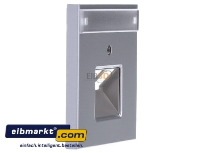View on the left Jung AL 2969-2 NAUA Plate UAE/IAE (ISDN) - 
