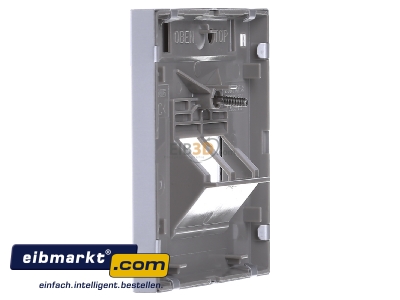 View on the right Jung AL 2969-2 NAUA Plate UAE/IAE (ISDN) - 
